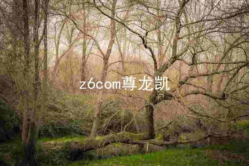 z6com尊龙凯