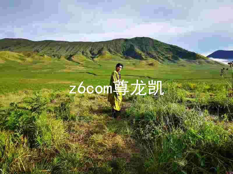 z6com尊龙凯