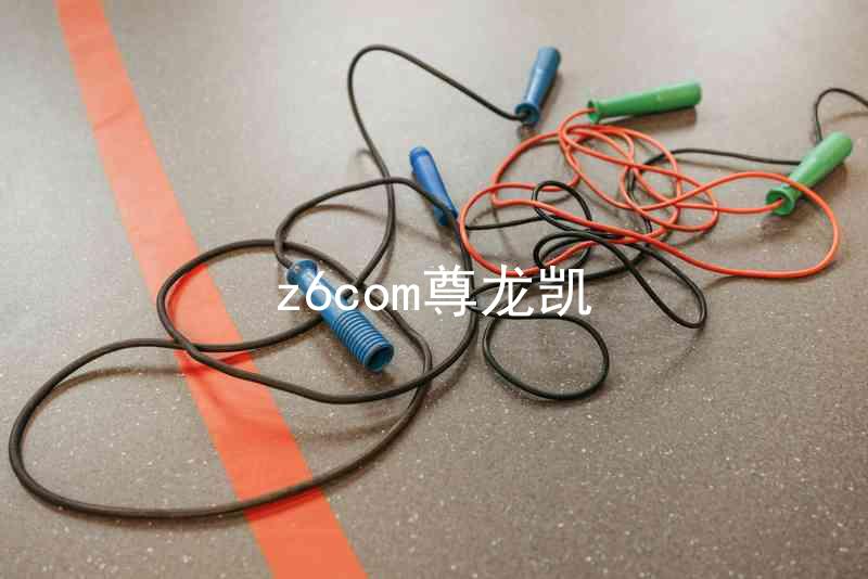 z6com尊龙凯