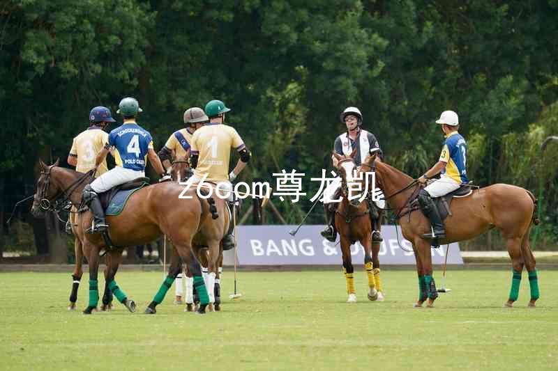 z6com尊龙凯