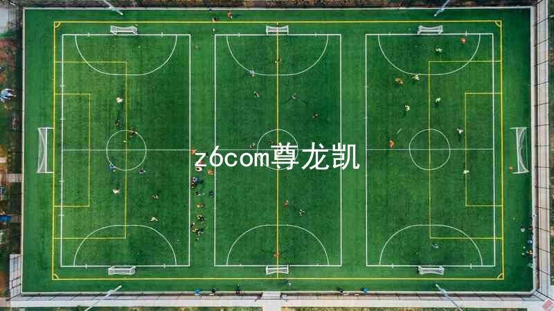 z6com尊龙凯