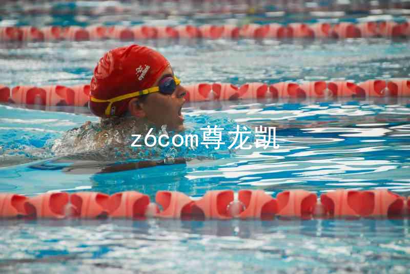 z6com尊龙凯