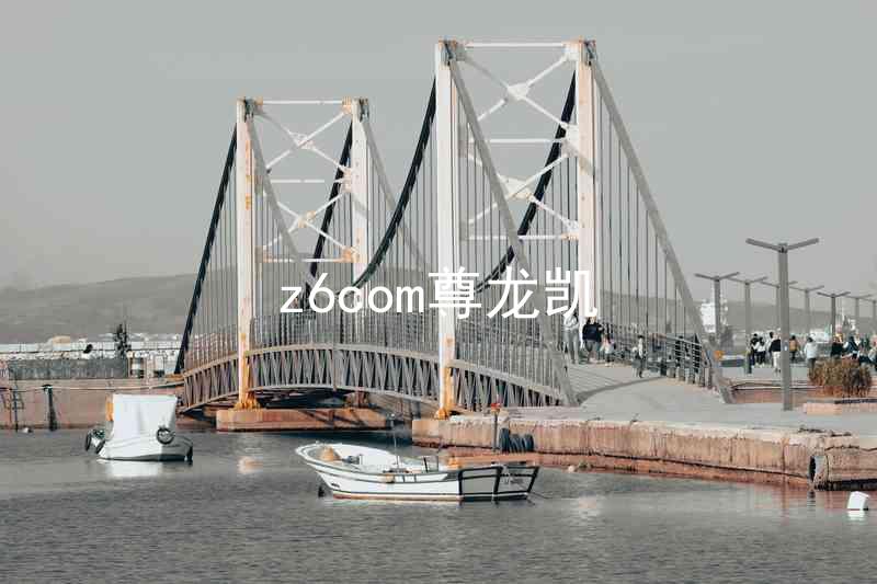 z6com尊龙凯