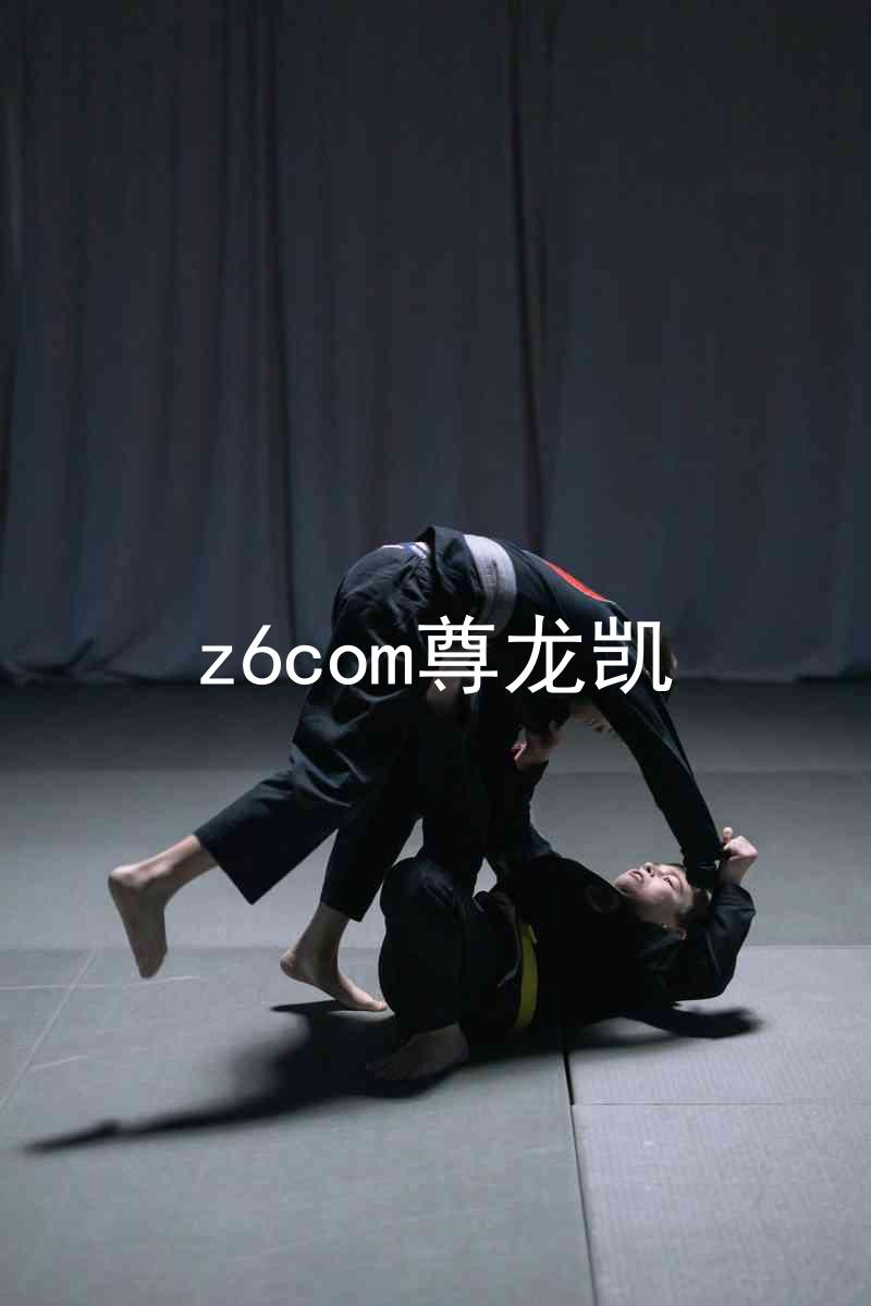 z6com尊龙凯